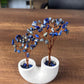 Lapis Lazuli Doğal Taşlı İkili Odaklanma ve Kaygı Ağacı